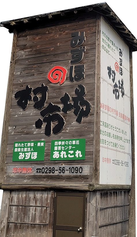 mizuho